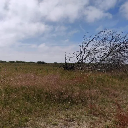 4 Person In Hvide Sande Casa de Férias Havrvig