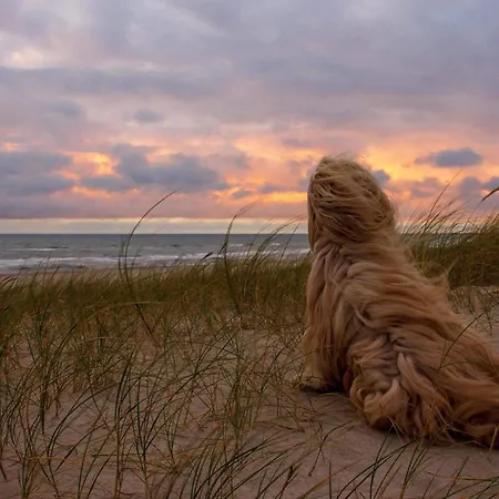 4 Person In Hvide Sande *